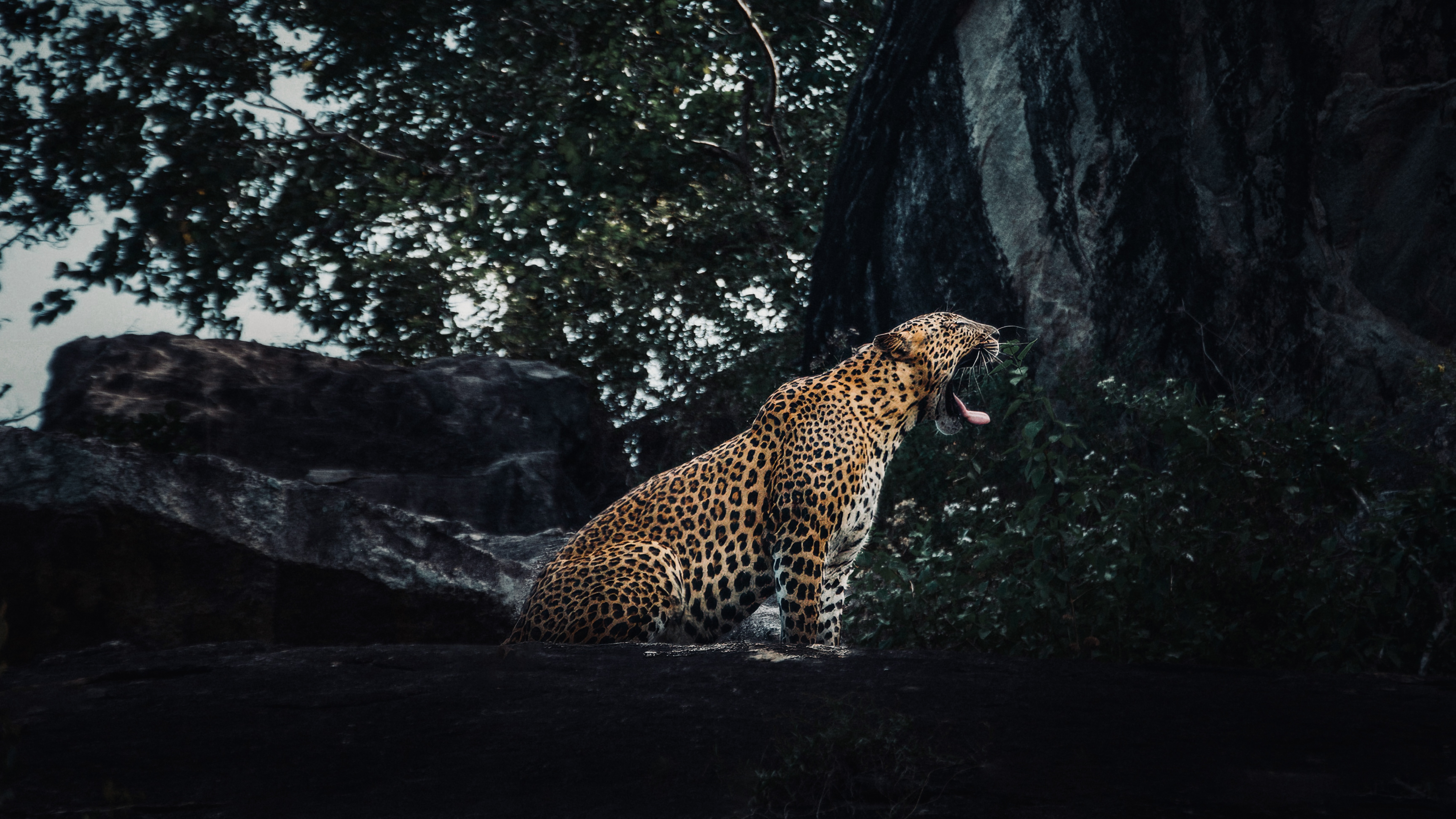 Yala National Park wilderness